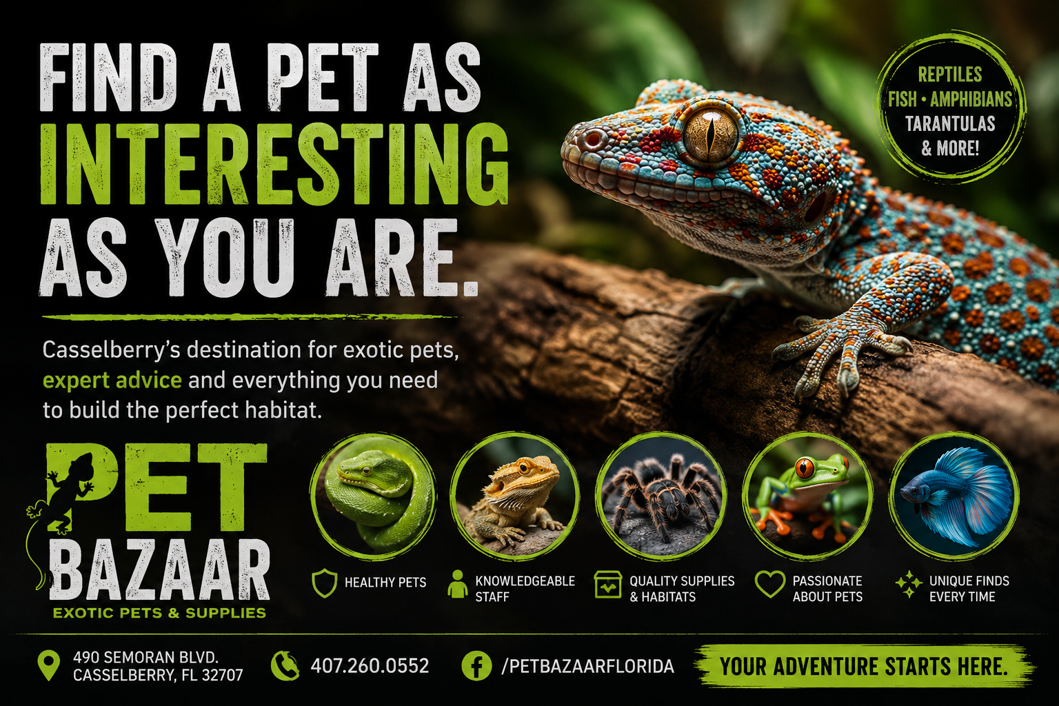 Pet Bazaar — Find a Pet as Interesting as You Are.